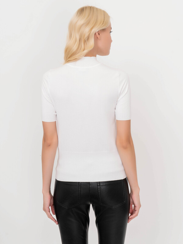 Э672061-15311/20-02 Джемпер Taifun