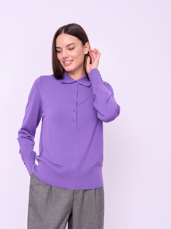 Э122616/23-02 Джемпер (с воротом поло) Rabe