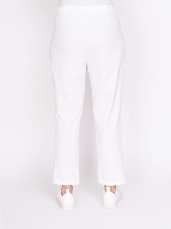 Э20059-S19/19-01 Брюки Franco Vello