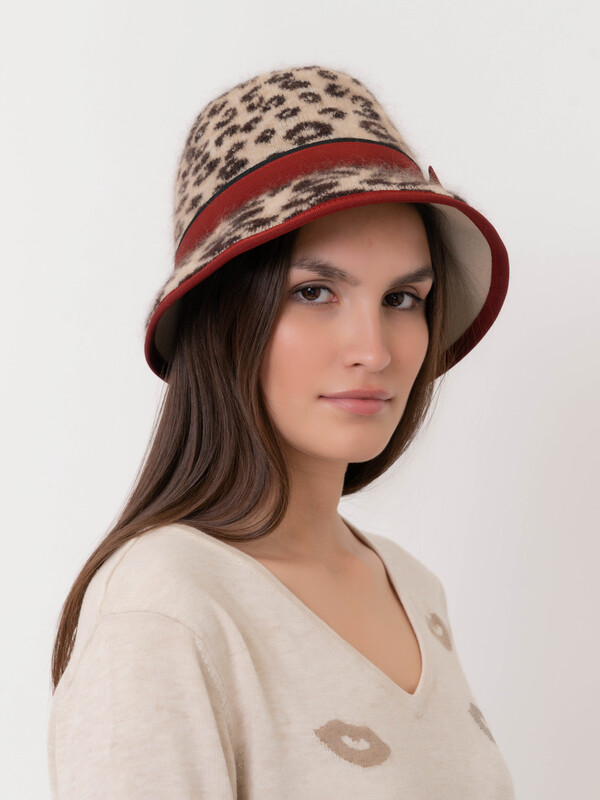 ЭSS6747 PL/20-2 Шляпа Vizio