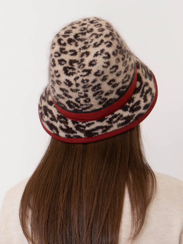 ЭSS6747 PL/20-2 Шляпа Vizio