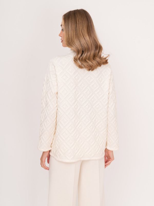 Э55031/22-02 Джемпер D.Exterior