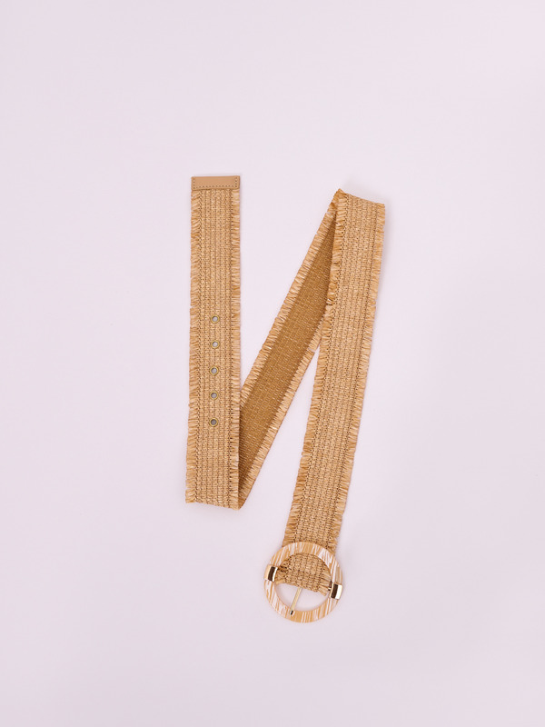Biscotti allo zenzero-611