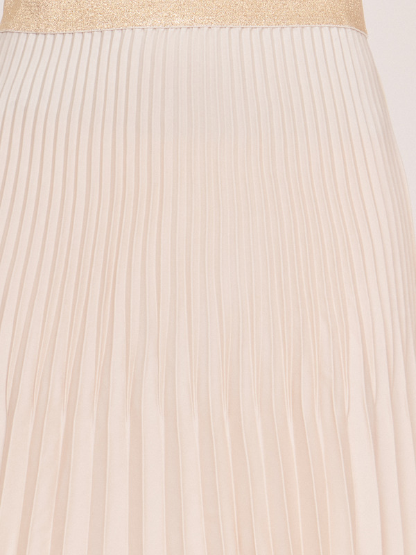 Э210013-11240/22-02 Юбка Taifun