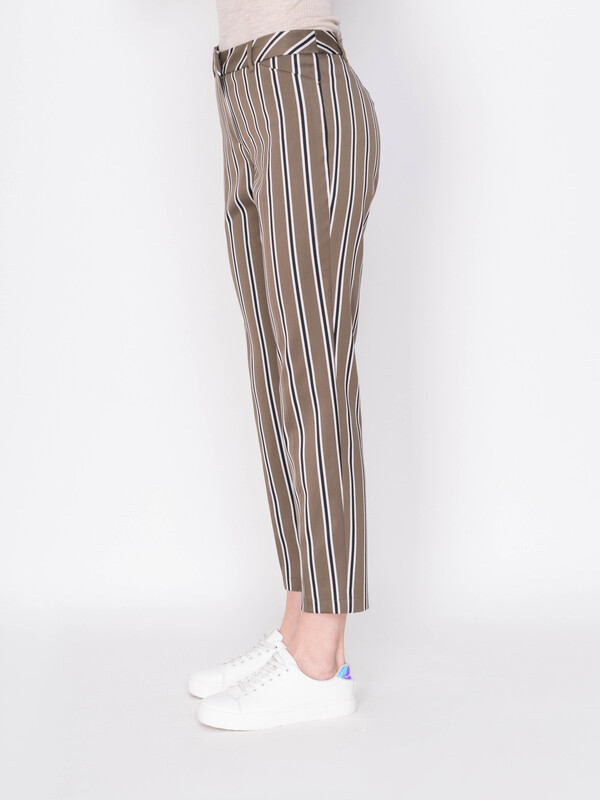 Э320045-17107/19-01 Брюки Taifun