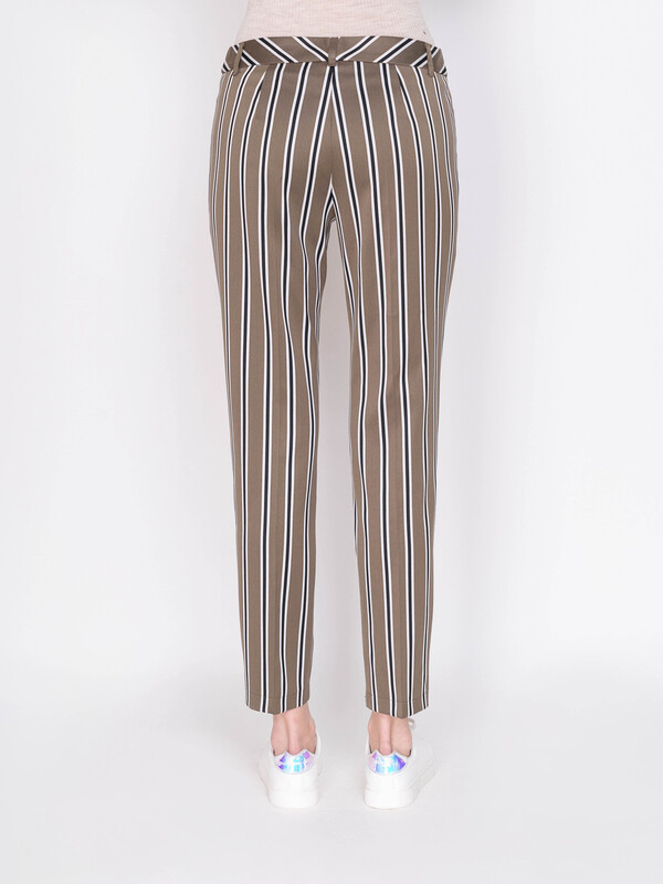 Э320045-17107/19-01 Брюки Taifun