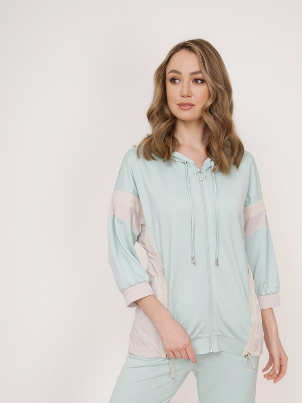 Assenzio argenteo - 206