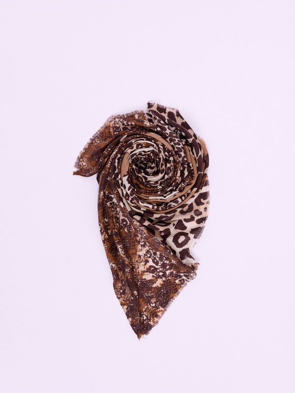 Leopardo selvaggio-605