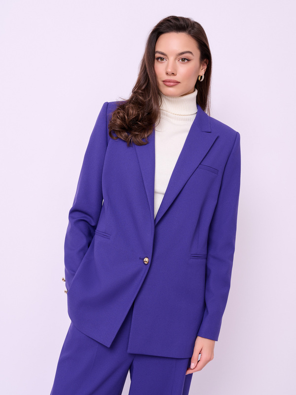 Aster viola-408